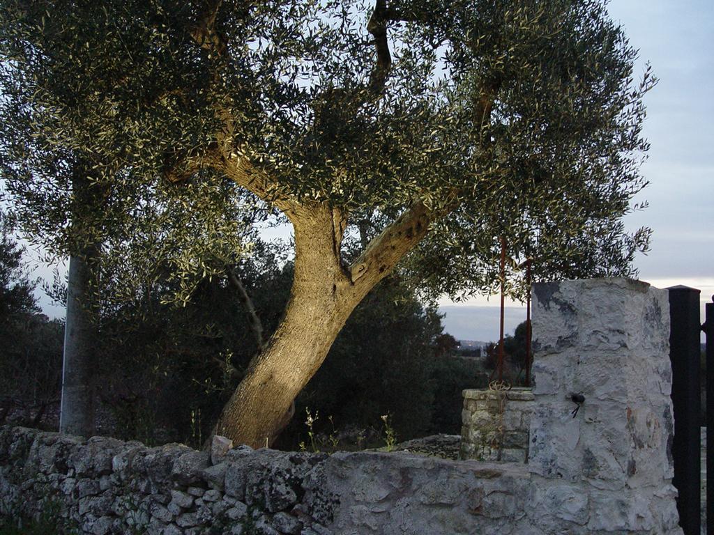 Trullo Sereno Angelo Locorotondo Exterior foto